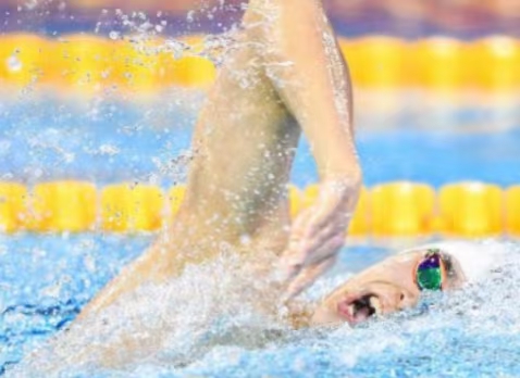 國際泳聯(lián)冠軍游泳系列賽(廣州站)